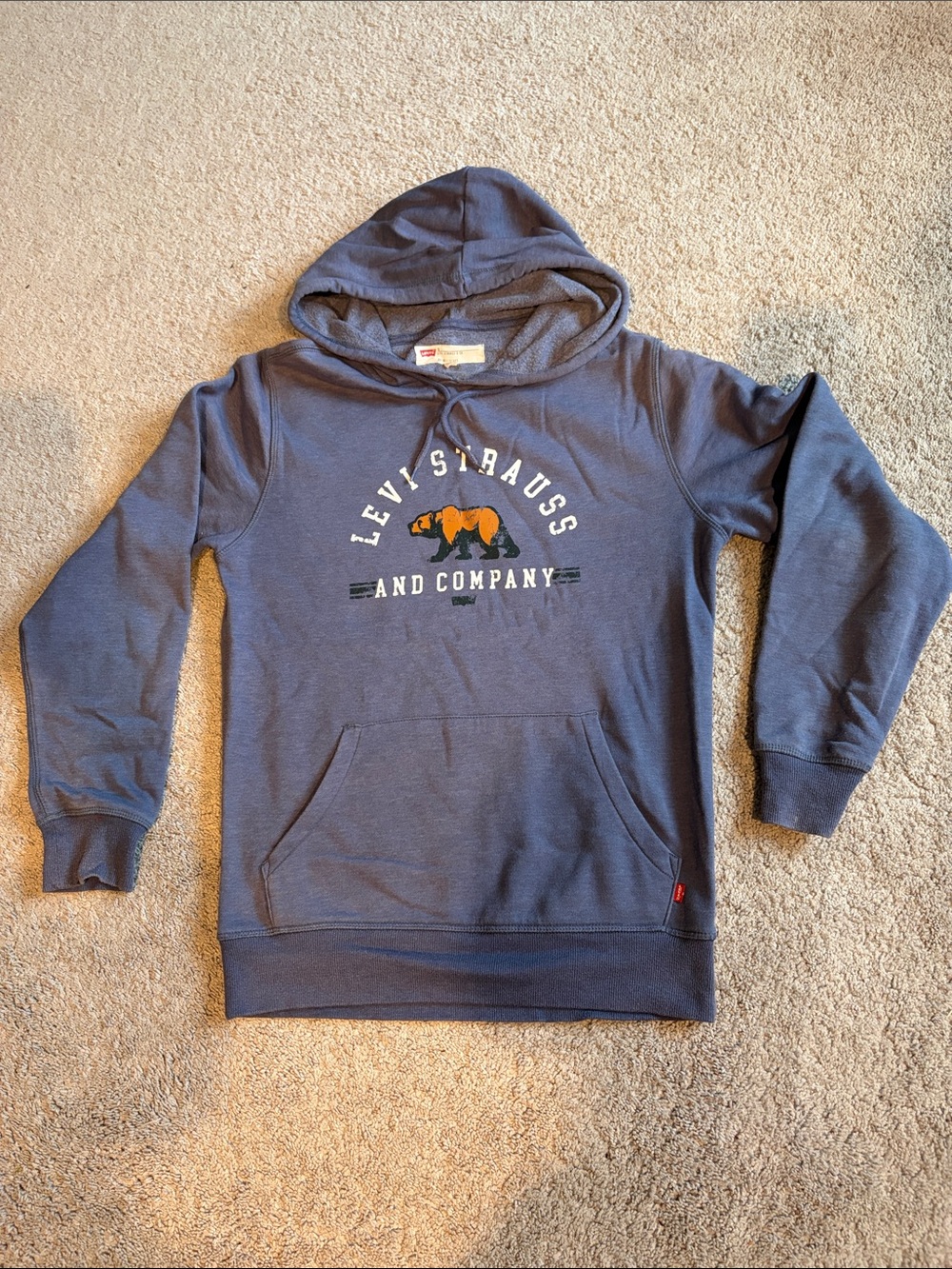 Levi's Blue Hooded Sweatshirt with Graphic Logo